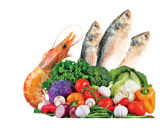 Agro & Agro Processing